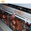 Multi-Tiers Chicken Geflügelfarm Batterie Hühnerschicht Käfig